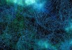A neural network